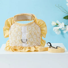 img_5031254