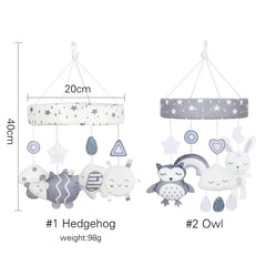 img_2702862