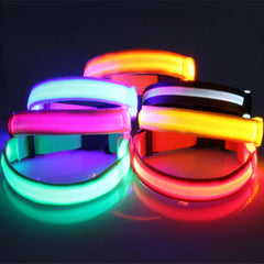 img_5024895