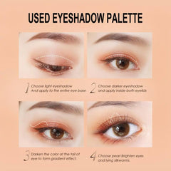 img_309058