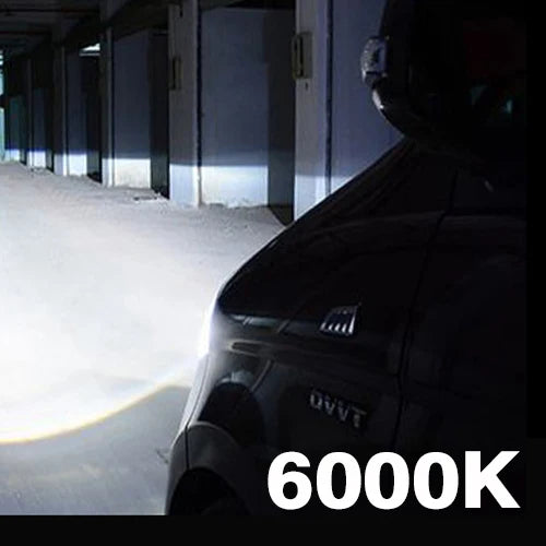 img_65190