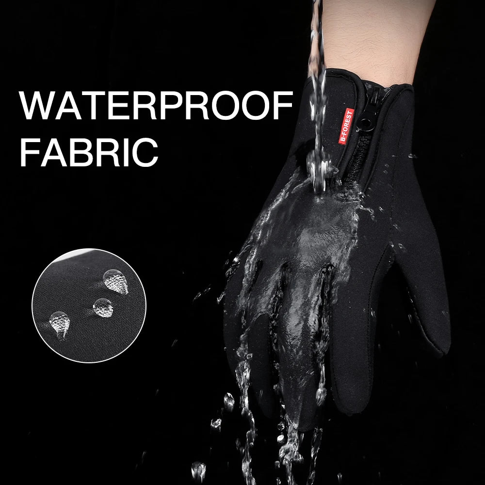 img_2624585