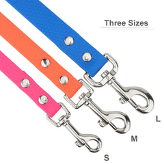 img_5036370