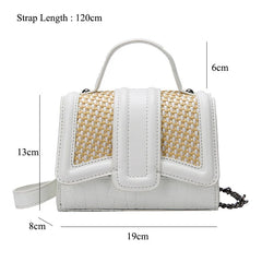Stone Pattern & Straw Handbags Chains Shoulder Messenger Purses Women Hand Bags