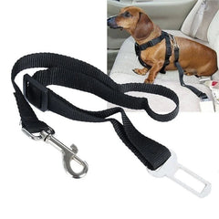 img_5038404