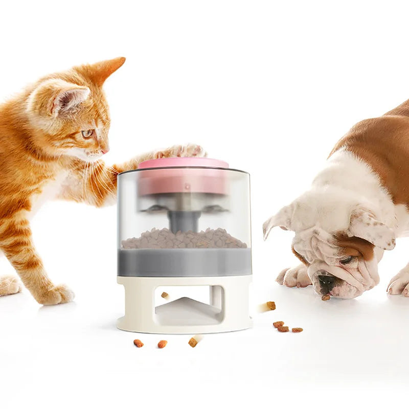 img_5100549