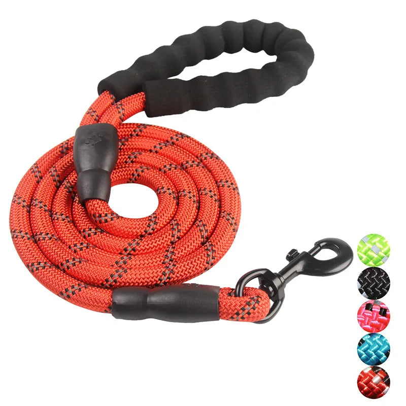 img_5029494