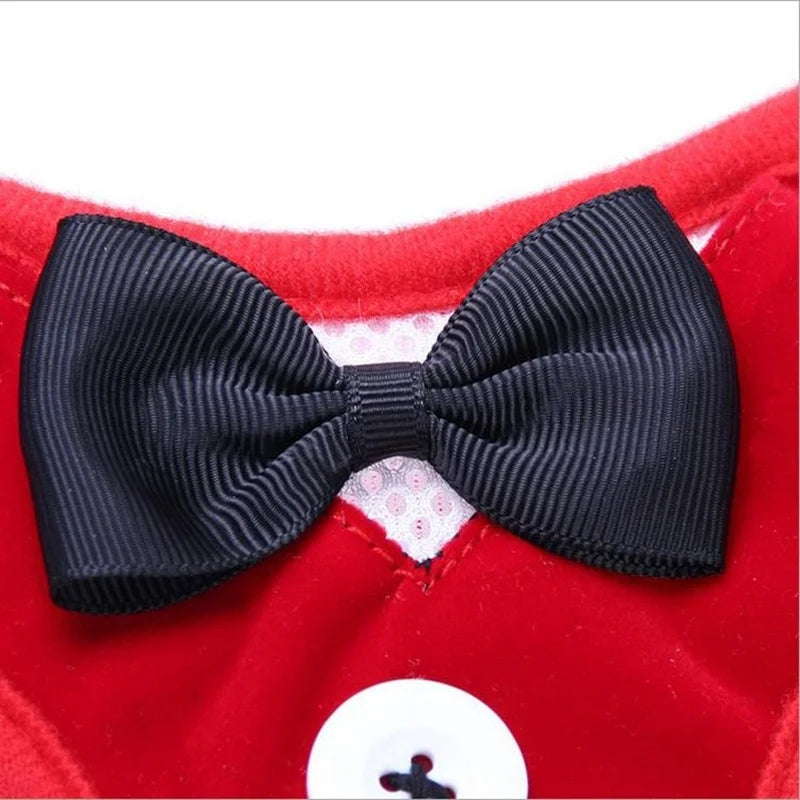 img_5029579