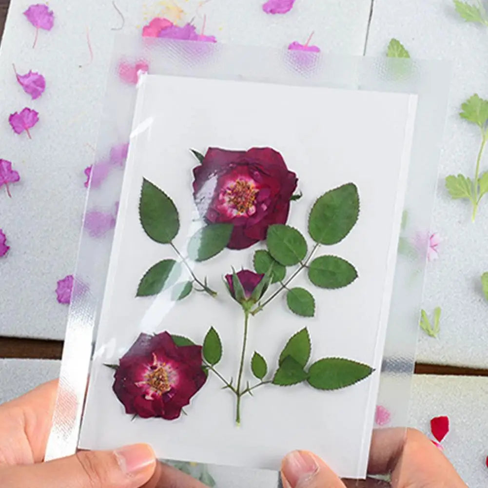 img_4969328