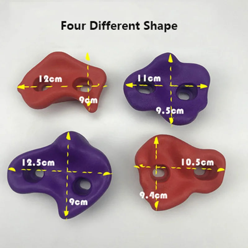 img_2869386
