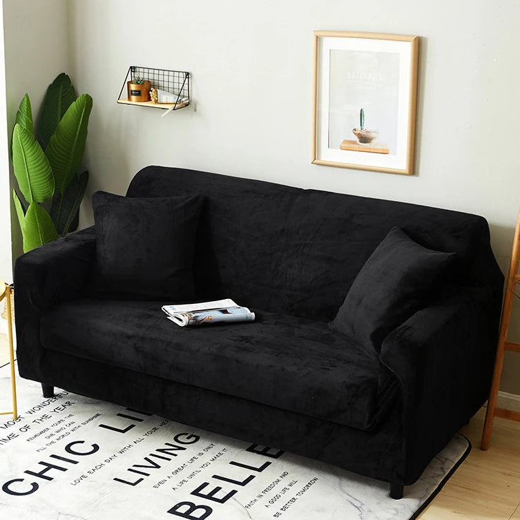 img_7429863