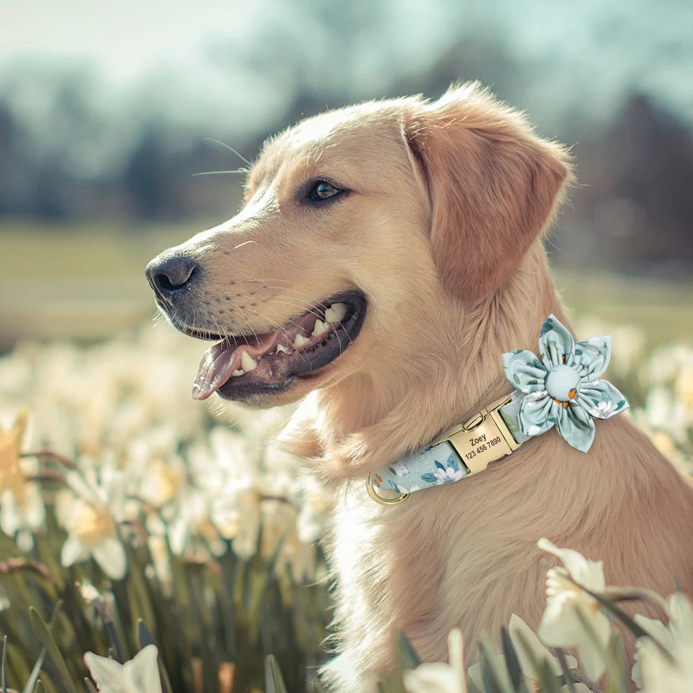 img_5020611