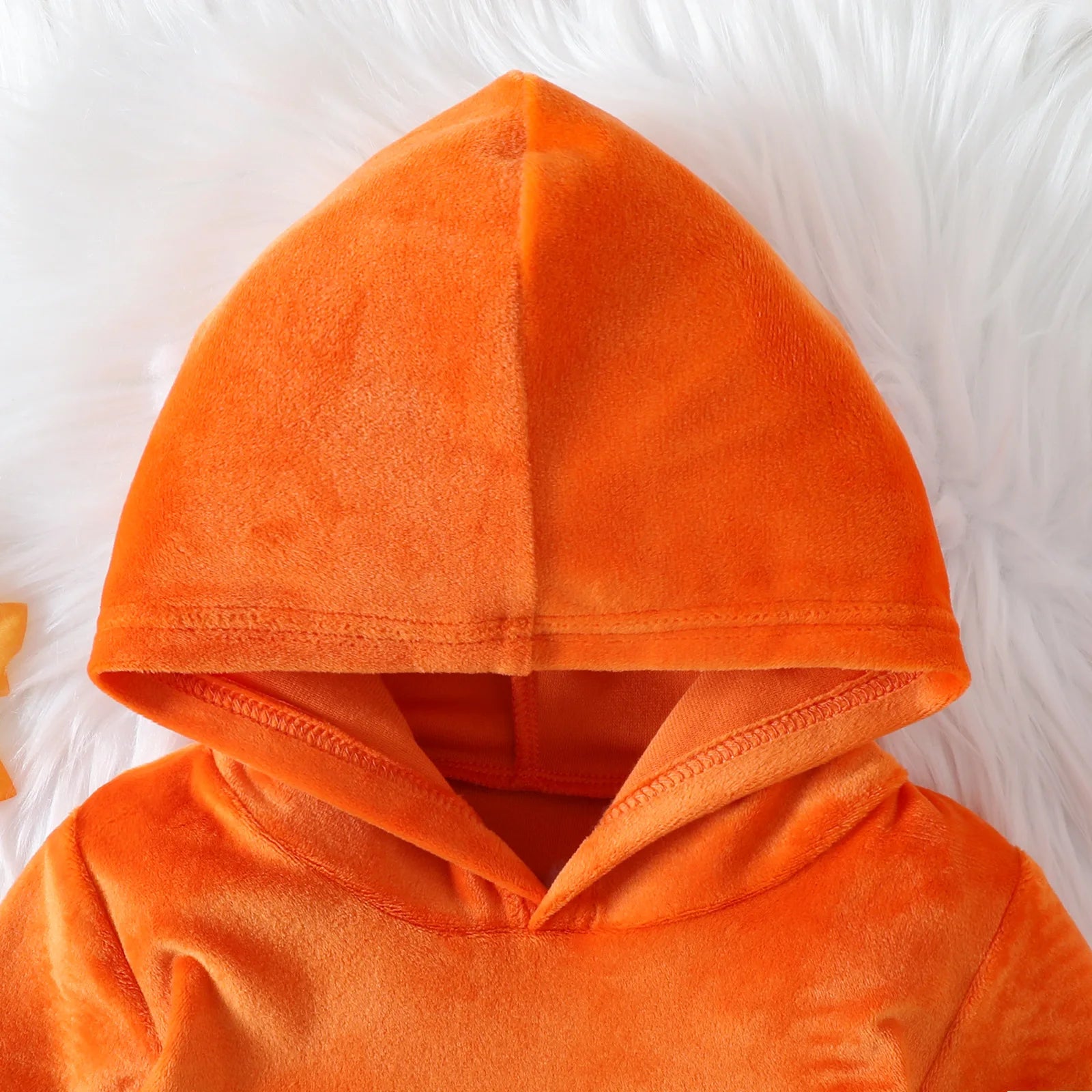 img_2549535