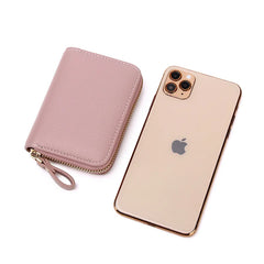 RFID Anti-theft Brush Organ Card Bag Zipper Small Wallet Driver's Bag