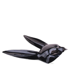 img_2562982