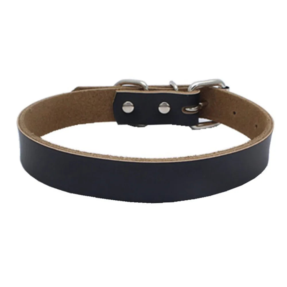 img_5023821