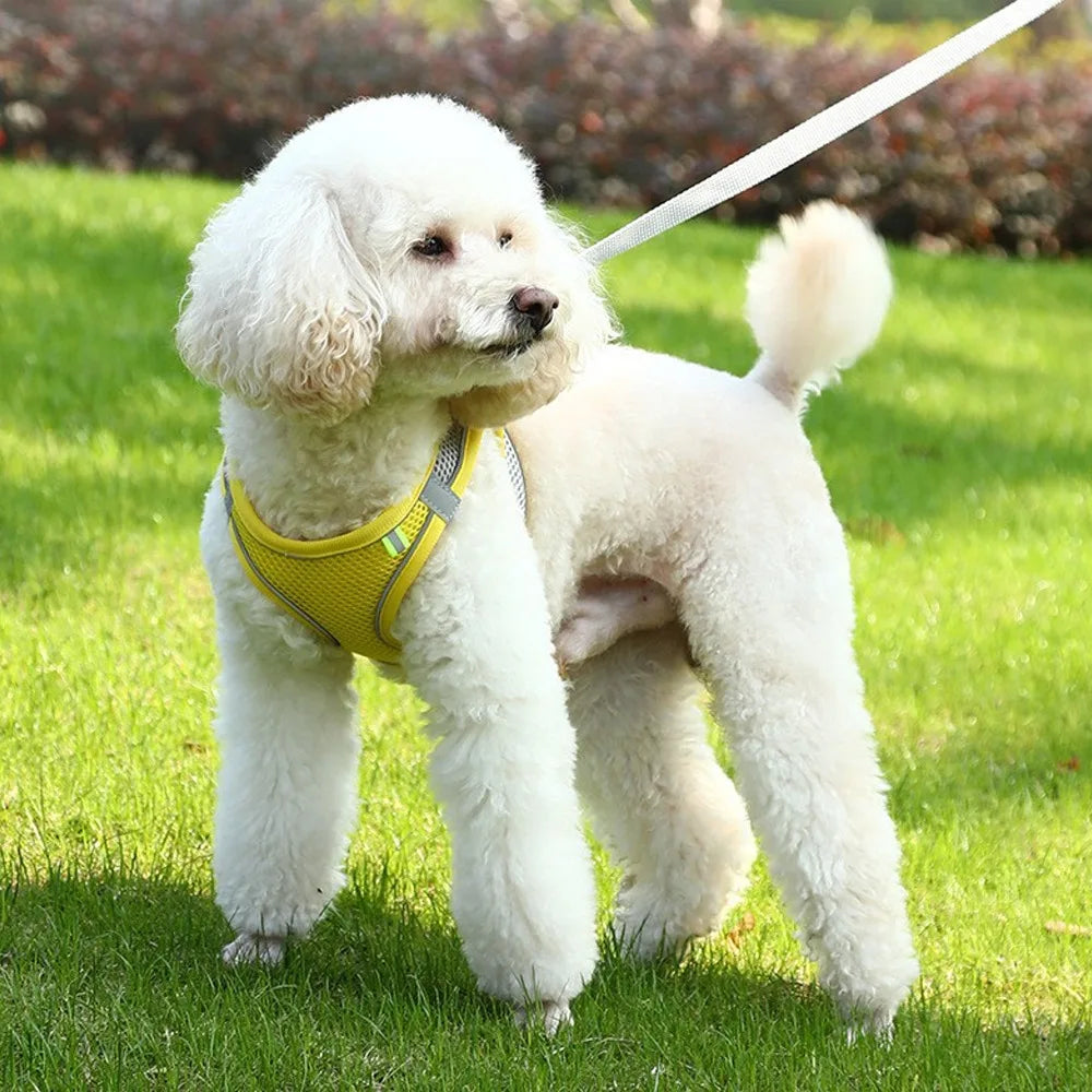 img_5031196
