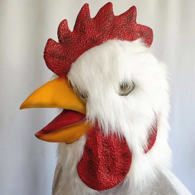 img_2562475