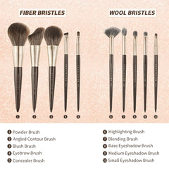 Makeup Brush with Storage & Organizer