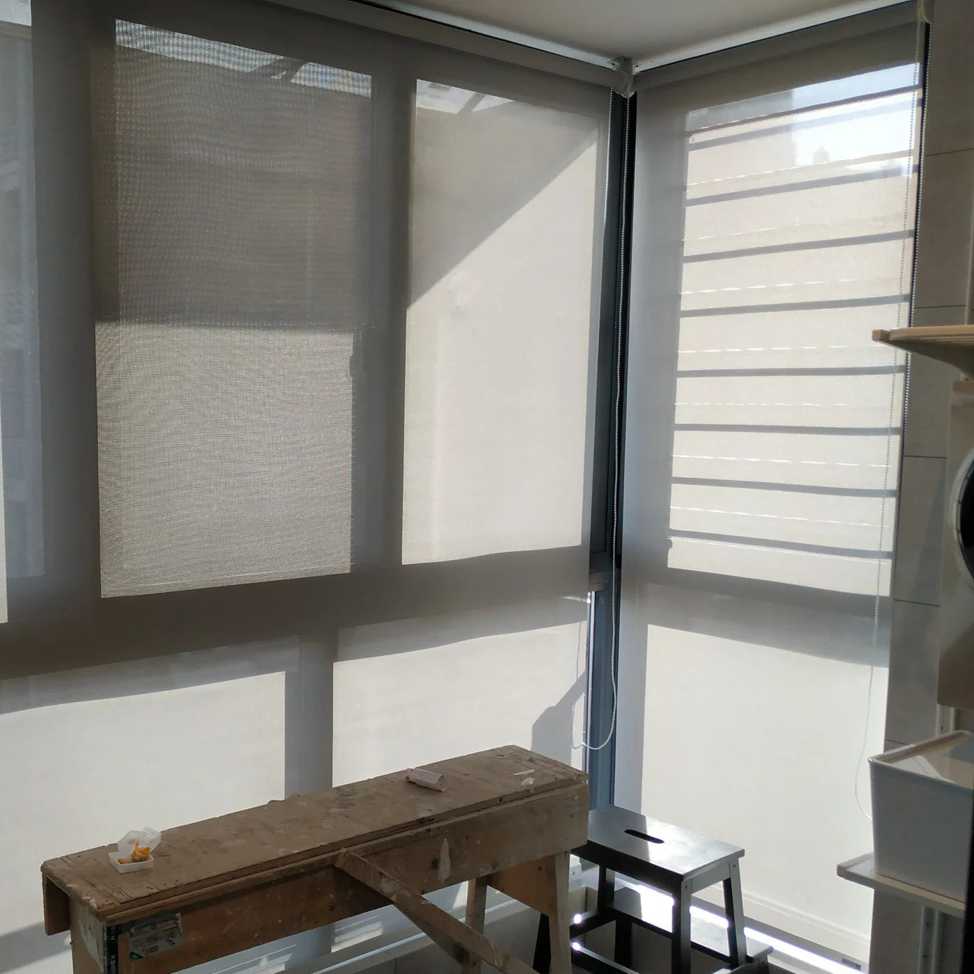 img_5131398