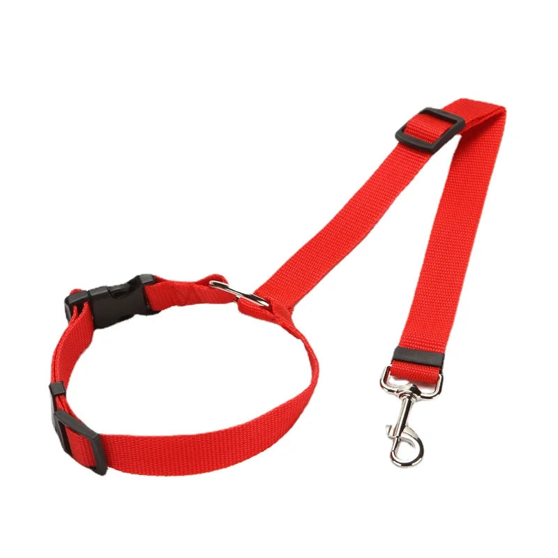 img_5031945