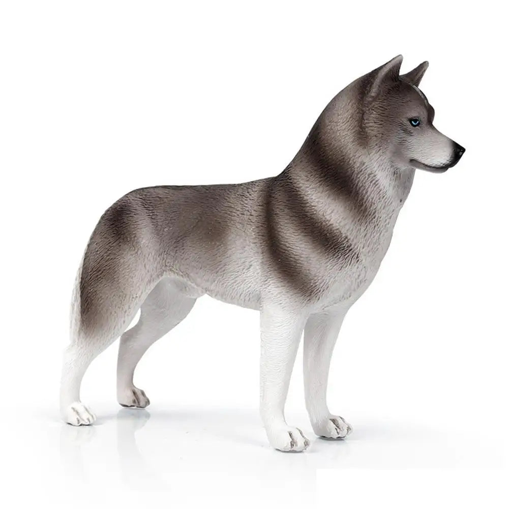 img_2658670