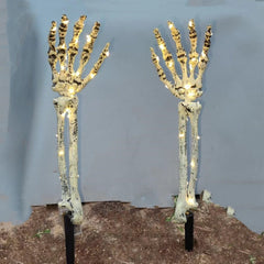 img_2945672