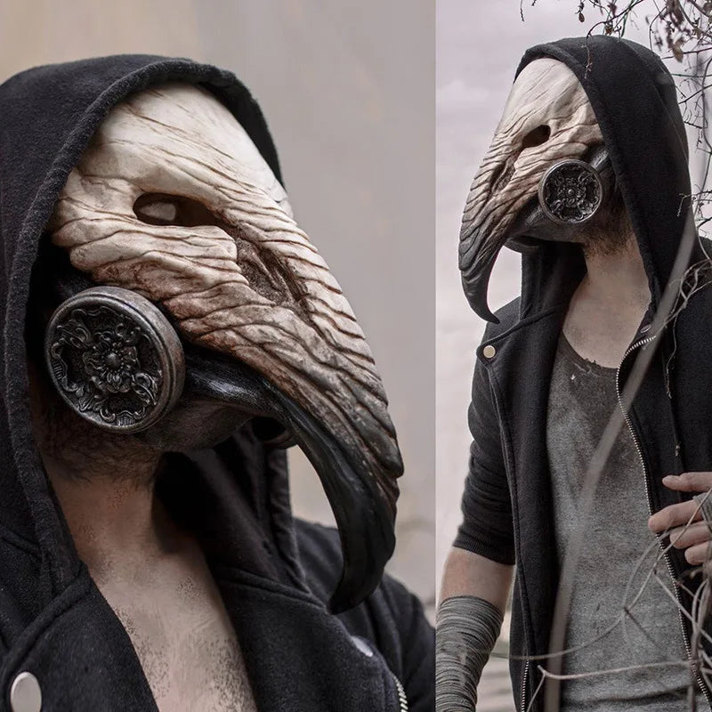 img_2561274