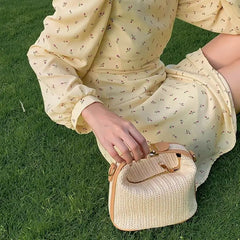 Straw Woven Women's Small Bucket Shoulder Bag Ladies Beach Tote Clutch Purse