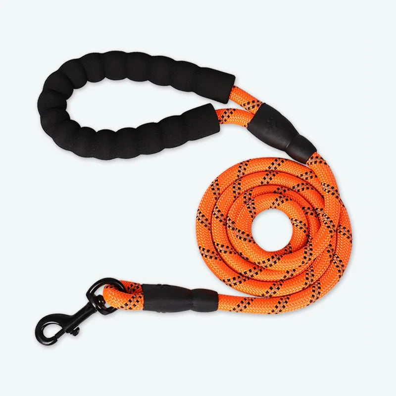 img_5037959