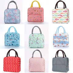 Portable Lunch Bag Insulated Tote Cooler Handbag for Women