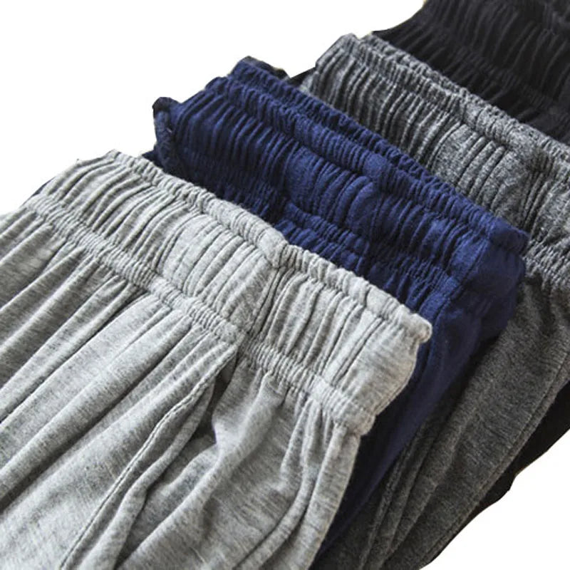 img_2195191