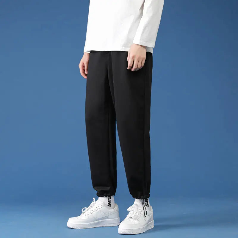 img_2195998