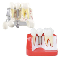 img_7445120