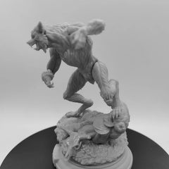 img_2838440