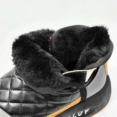 img_1502574
