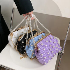 Pleated Clip Shoulder Crossbody Bag Women Handbag Purses
