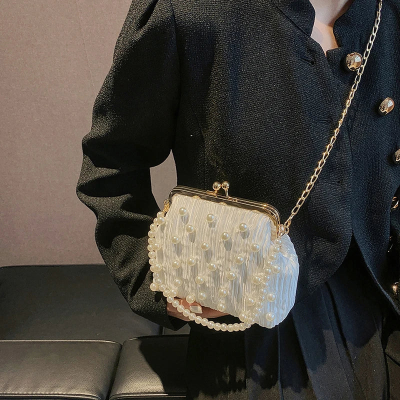 Pleated Clip Shoulder Crossbody Bag Women Handbag Purses