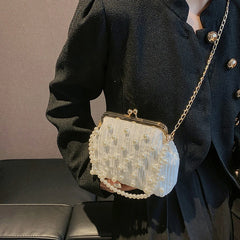 Pleated Clip Shoulder Crossbody Bag Women Handbag Purses
