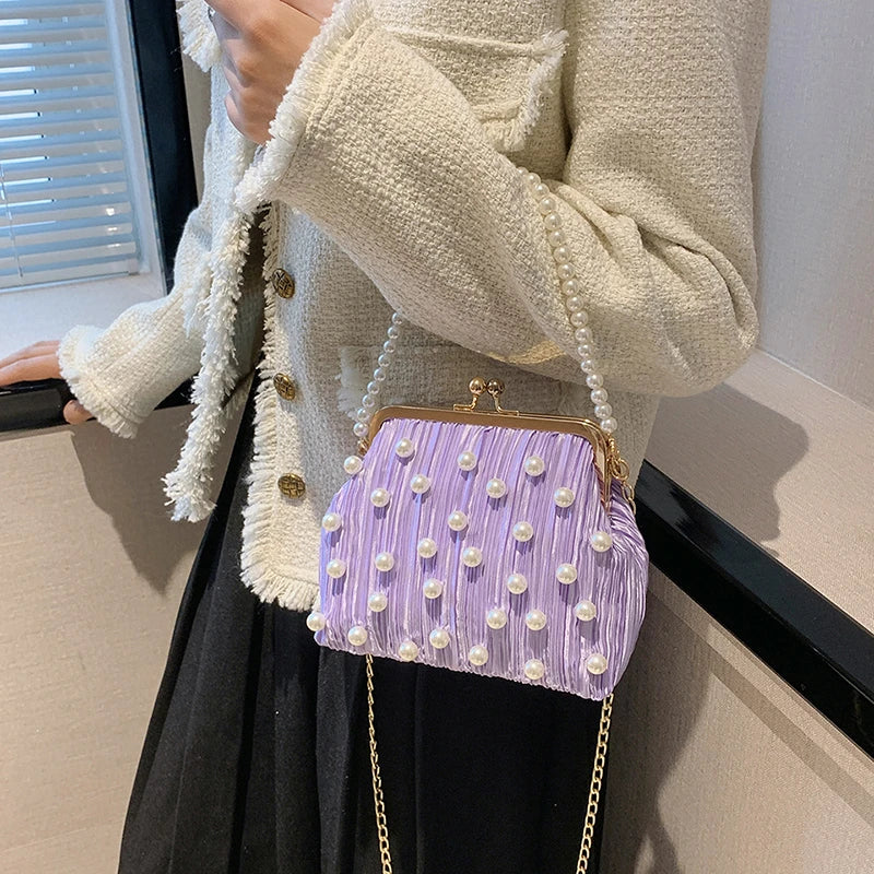 Pleated Clip Shoulder Crossbody Bag Women Handbag Purses