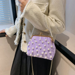 Pleated Clip Shoulder Crossbody Bag Women Handbag Purses