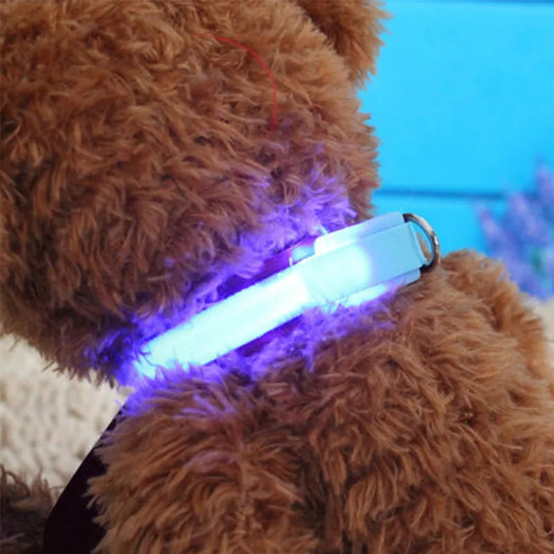 img_5026163