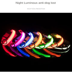 img_5024430