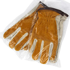 img_1981525