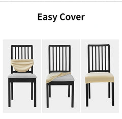 img_5103946