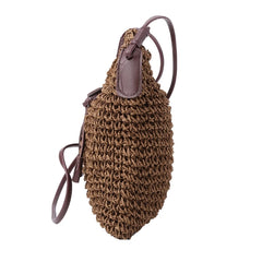 Straw Weave Tote Purse Lady Beach Hobo Bag