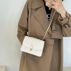 Women's Pleated Small Square Bags Crossbody Shoulder Casual