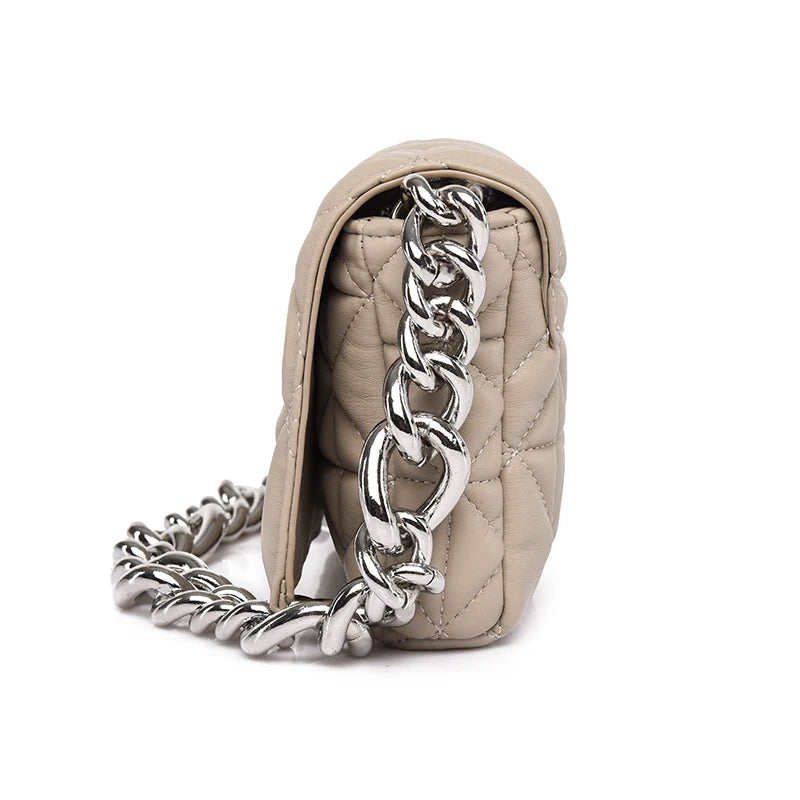Thick Chain Shoulder Purses Handbag Women Clutch Bag Clear Crossbody Bags
