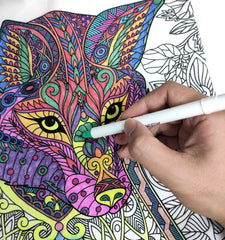 Graffiti Coloring DIY Canvas Tote Bag for Women, Shoulder School Bag