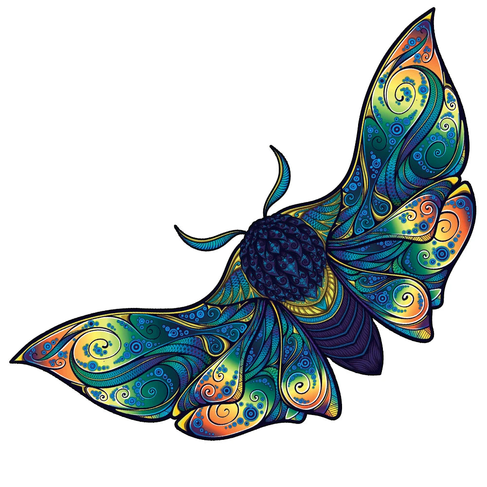 img_2807831